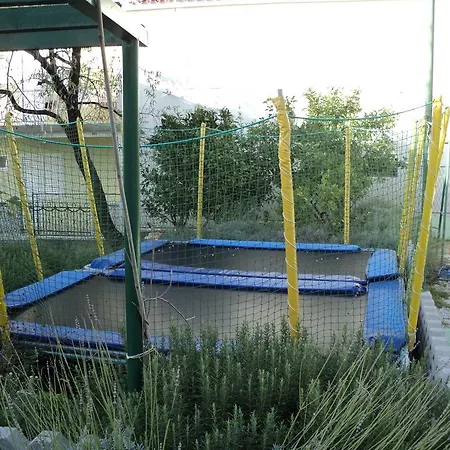 Bucina