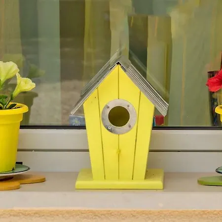 Bucina Apartmán *